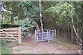 Kissing Gate on Broomfield Gate road, Radfall