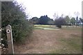 Footpath through Chestfield Golf Club