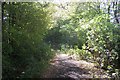 Gore Lane, byway to Marlands Farm