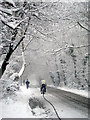 Lye Lane in the snow