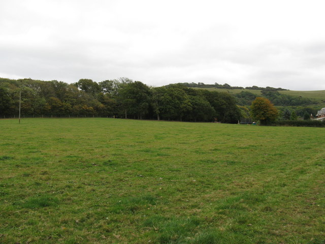 View across field to Cobsham Rough