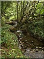 Stream near Deerpark