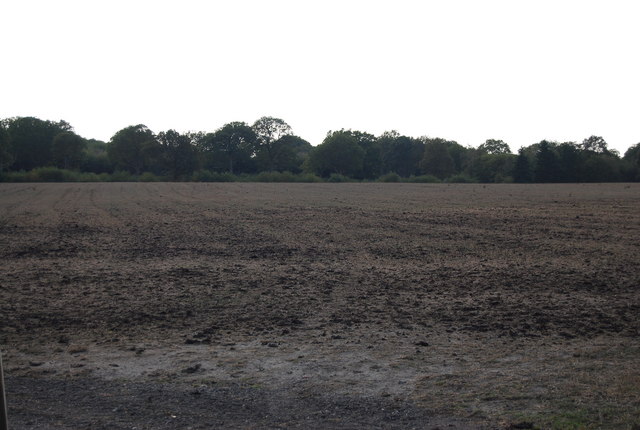 Field by Ensfield Rd, opposite Ensfield Rd