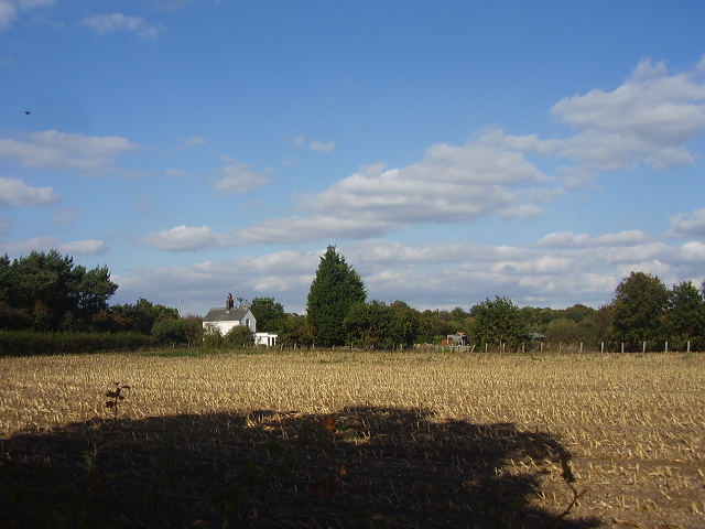 Harvested fields