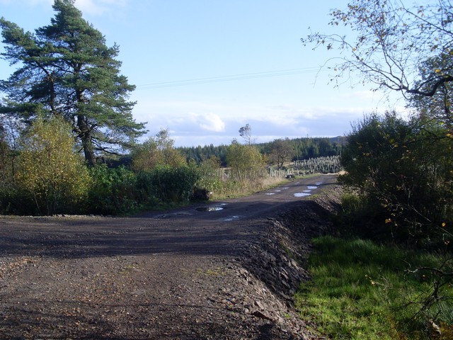 Forest path near Auchineden Farm