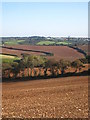 Freshly tilled fields near Levardro