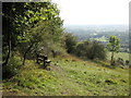 Seat and view near Oak Wood