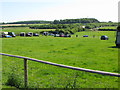 Looking E across paddocks towards the A256