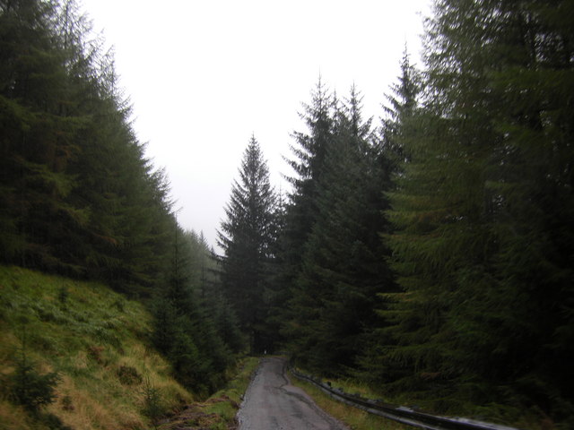 Road through the forest near Kinlochan