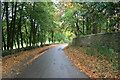 Road into Westwell