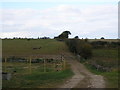 Farm Track, Clipsham Road, Stretton