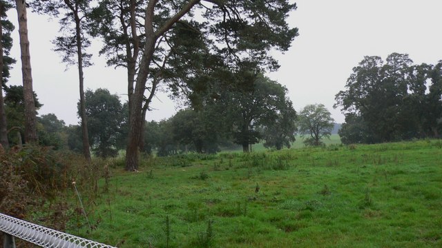Field by Blackmoor Road