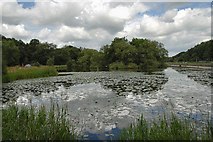 SJ8352 : Bathpool Reservoir by Galatas