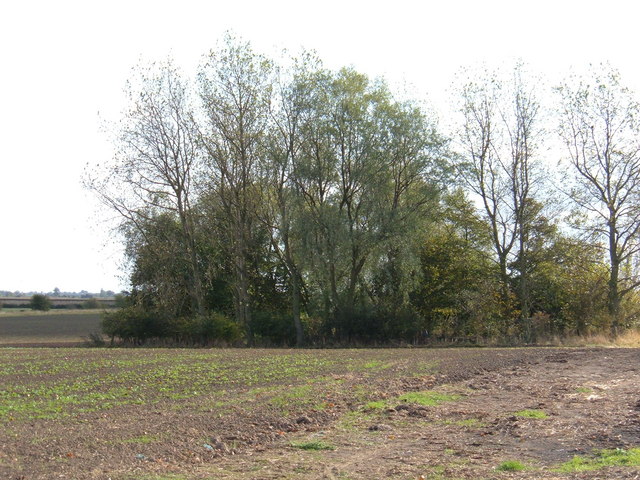 Farmland near Hill Farm