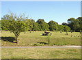 Picnic site off Rayners Lane