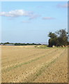 Buildings at Payden Street with Medway and Thames estuaries just visible