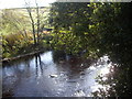 Upstream River Lossie