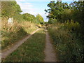 Track into Stretton Wood