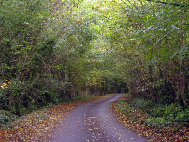 Chilsham Lane in Autumn