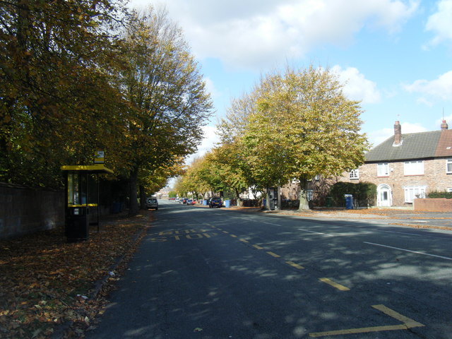 Mill Lane