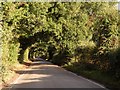 Part of Green Lane, heading towards Hutton village