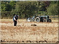 Raking the rubbish, pulling the weeds