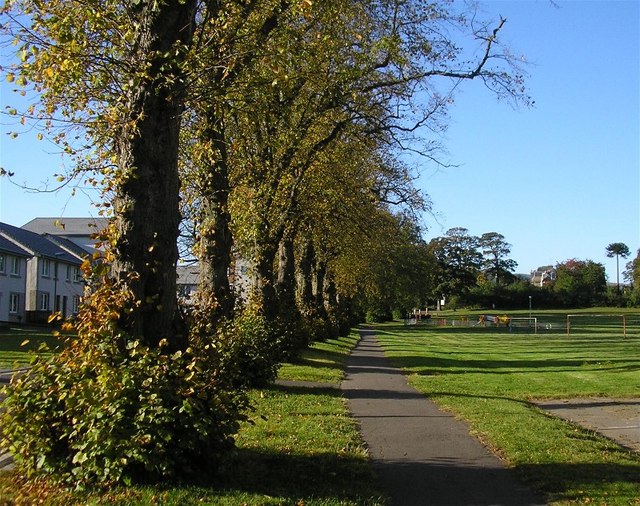 Gracemount - avenue of trees