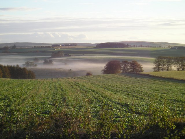 View from Wardford