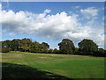 Pond Field, Plumpton Green