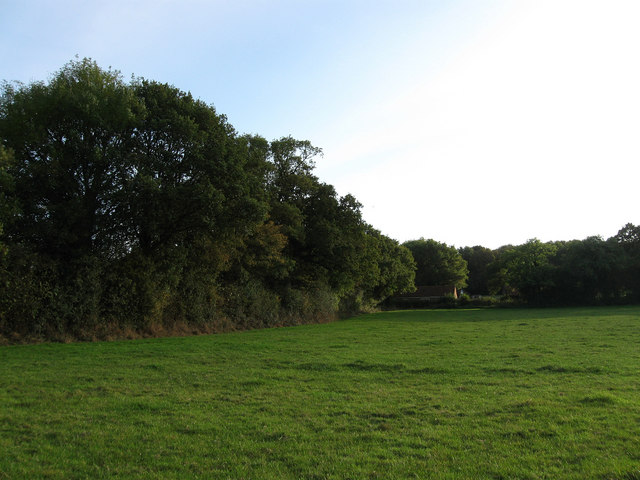 Middle Field