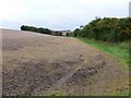 Countryside near Crawthorne Farm