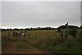 Footpath to Lechlade