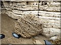 Cellular patterns in boulder of magnesian limestone