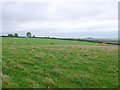 Countryside near Milton Abbas