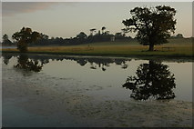 SO8843 : Reflections in Croome River by Philip Halling