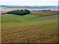 Farmland on Houghton North Down