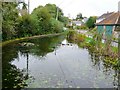 Village pond, Winterborne Houghton