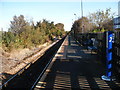 Silkstone Common Station looking east.