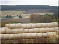 Fresh bales near Obsdale House