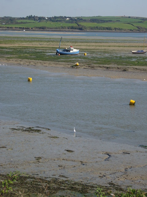 Little egret at Padstow
