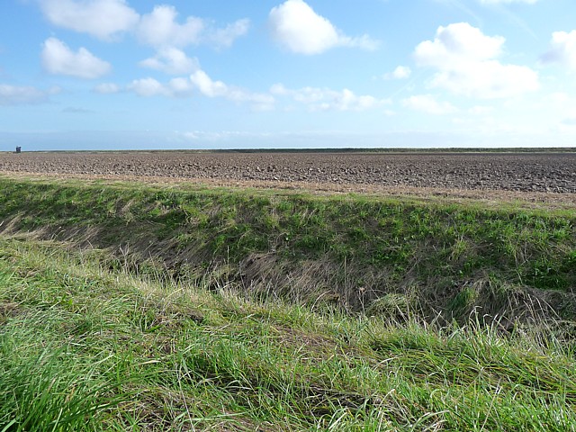 Farmland near Wainfleet (1)