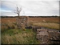 NT0356 : Mine building ruins near Tarbrax by Richard Webb