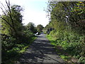 Cycleway on old Railway Bed