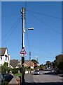 Wooden owl on telegraph pole in Chaddiford Lane