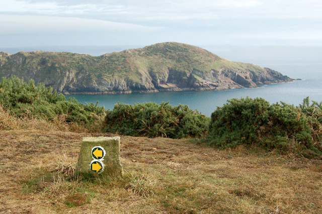 Circular walk from Solva to St Elvis and Dinas Fawr (27)