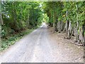 Cateran Trail, Lornty