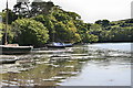 Coombe. An inlet off Cowlands Creek