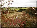 View over South Calder