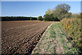 Footpath to Rushbrooke