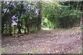 Footpath junction on the Greensand Way